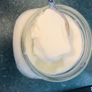 Home Made Fresh Yogurt