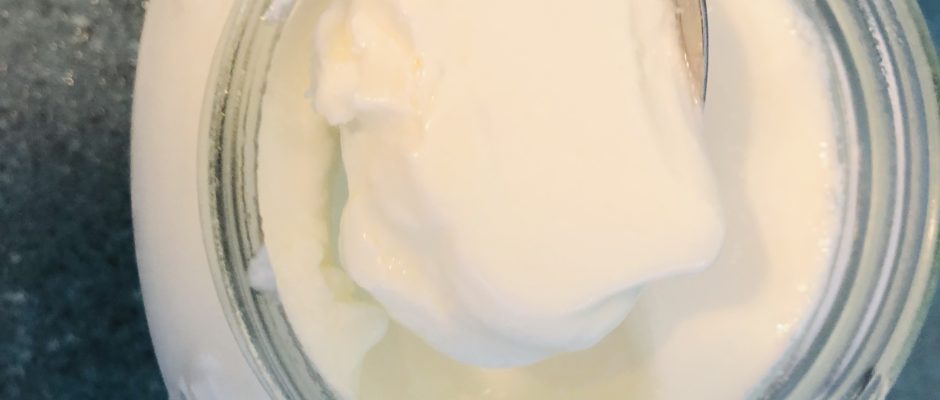 Home Made Fresh Yogurt