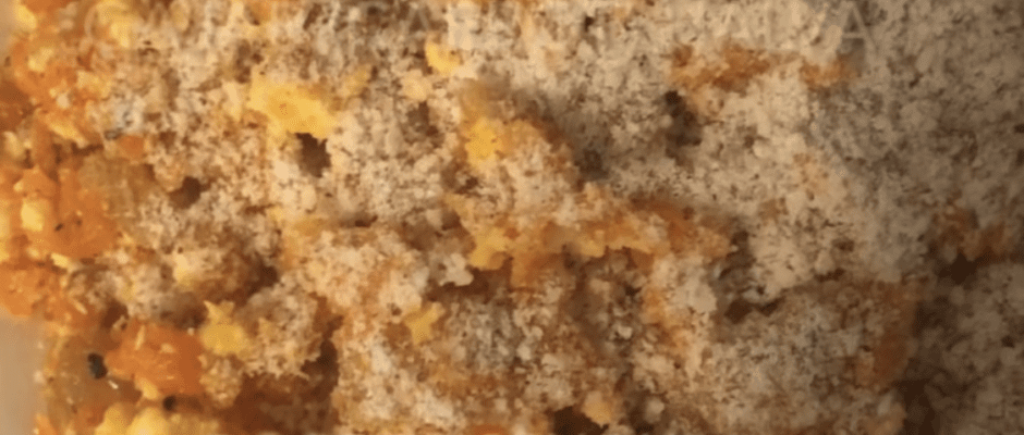 Gajar Halva (Carrot Desert)